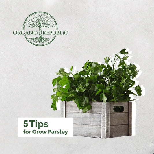 Growing & Gardening Tips - Organo Republic seeds store Growing & Gardening Tips