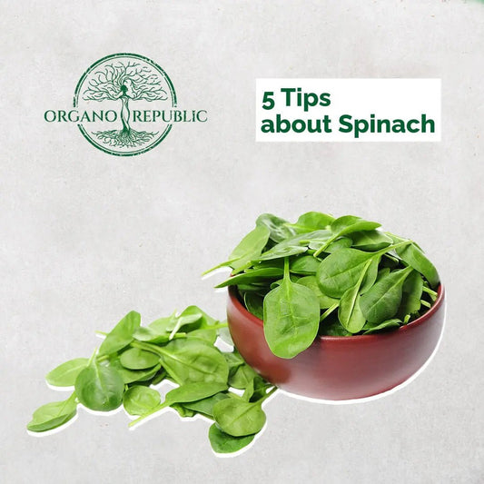 Growing & Gardening Tips - Organo Republic seeds store Growing & Gardening Tips