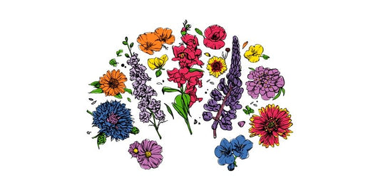 Annual Wildflowers - Organo Republic