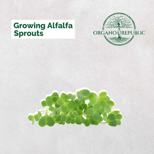 Growing & Gardening Tips - Organo Republic seeds store Growing & Gardening Tips