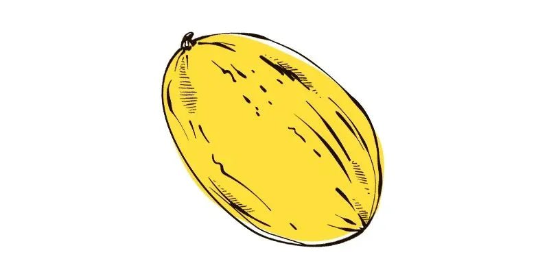 Melon Canary Yellow - Organo Republic seeds store Melon Canary Yellow
