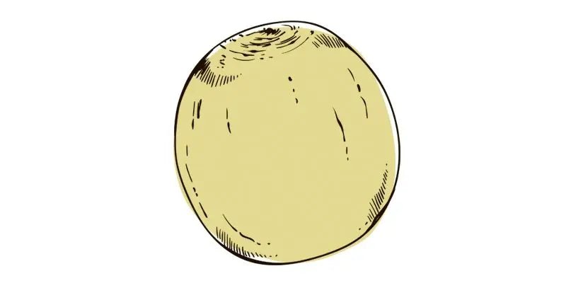 Melon Honeydew | Melon | Premier Seeds Direct Ltd