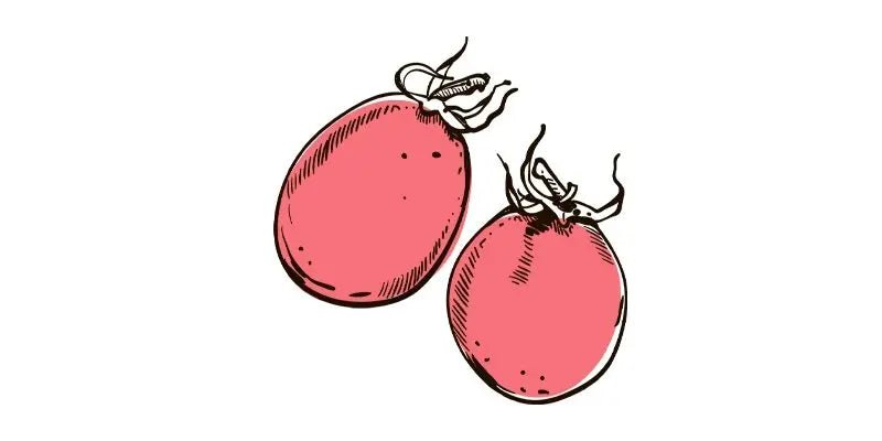 Pink Thai Egg Tomato - Organo Republic seeds store Pink Thai Egg Tomato