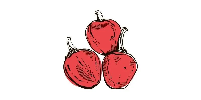 Sweet Red Cherry Pepper - Organo Republic seeds store Sweet Red Cherry Pepper