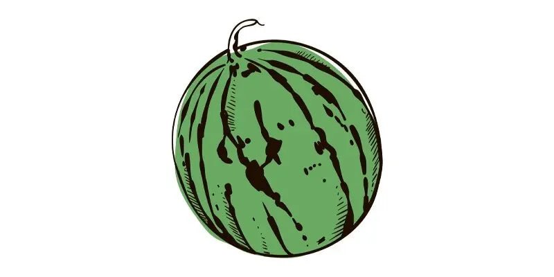 Watermelon Sugar Baby - Organo Republic seeds store Watermelon Sugar Baby