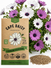 Cape Daisy Seeds