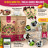 10 Rare Beet Seeds Variety Pack