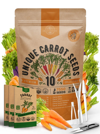 Rainbow Carrot Seeds – Variety Pack, Non-GMO Heirloom