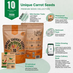 10 Unique Carrot Seeds Variety Pack - Organo Republic seeds store 10 Unique Carrot Seeds Variety Pack