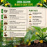 Dark Green Zucchini Seeds Pack 15G