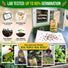Anise Seeds Pack 5G