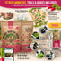 12 Radish Seeds Variety Pack