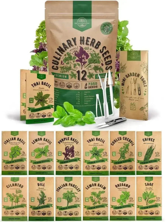 12 Culinary Herbs Seeds Variety Pack - 7,355+ Heirloom, Non - GMO, Herbs Seeds for Outdoor and Indoor Home Gardening - Organo Republic 900