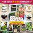 12 Radish Seeds Variety Pack