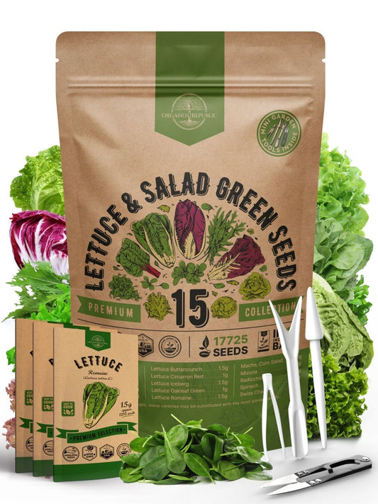 15 Lettuce & Salad Greens Seeds Variety Pack - Over 17,700 Non-GMO, Heirloom Seeds - Organo Republic 900