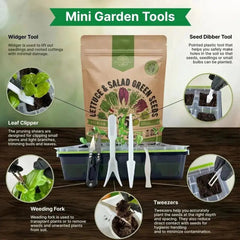 15 Lettuce & Salad Greens Seeds Variety Pack - Organo Republic seeds store 15 Lettuce & Salad Greens Seeds Variety Pack