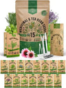 15 Medicinal & Tea Herb Seeds Variety Pack Non - GMO Heirloom Seeds for Planting - Organo Republic