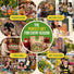 15 Lettuce & Salad Greens Seeds Variety Pack