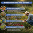 16 Perennial Wildflower Seeds Mix Organo Republic
