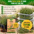 Thyme Seeds Pack 0.5 G