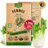 Fennel Florence Seeds Pack 1.25G