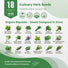 18 Culinary Herb Seeds Variety Pack - Over 10,100 Non - GMO, Heirloom Seeds - Organo Republic