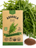 Arugula Roquette Seeds
