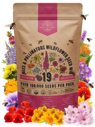 Pollinator Garden Wildflower Seeds Mix – Non-GMO Heirloom