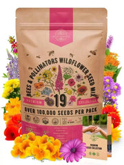 19 Bee Mix Wildflower Seeds Mix - Organo Republic seeds store 19 Bee Mix Wildflower Seeds Mix