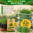 Curled Cress Seeds Pack 5G