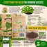 Mustard Southern Giant Seeds Pack 5G