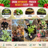 Cherry Belle Radish Seeds Pack 10G