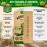 Green Globe Artichoke Seeds Pack 2G