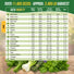 21 Culinary Herb Seeds Variety Pack
