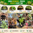 Green Globe Artichoke Seeds Pack 2G