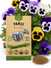 Pansy Seeds