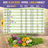 35 Medicinal & Tea Herb Seeds Variety Pack