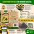 Sunflower Black Oil Seeds Pack 9G