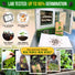 Onion Leek Seeds Pack 1G