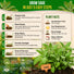 Sage Seeds Pack 1.5 G