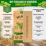 Cilantro Seeds Pack 5G
