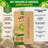 Lettuce Iceberg Seeds Pack 3G