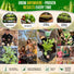 Pea Oregon Sugar Pod II Seeds Pack 15G
