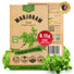 Marjoram Seeds Pack 0.15G