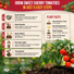 Tomato Large Cherry Seeds Pack 0.8G