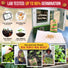Cherry Belle Radish Seeds Pack 10G