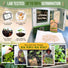 German Chamomile Seeds Pack 0.5G