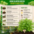 Cilantro Seeds Pack 5G