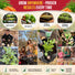 Carrot Royal Chantenay Seeds Pack 1G