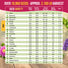25 Medicinal & Tea Herb Seeds Variety Pack